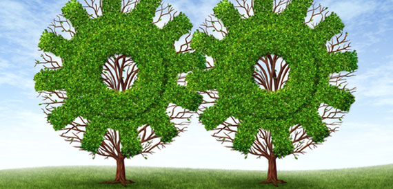 Formation et développement
