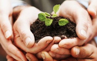 Gestion du changement et transition