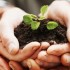 Gestion du changement et transition
